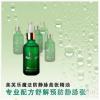 专业配方舒解预防静脉张最新美芙乐★魔法防静脉曲张精油 50m...