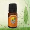正品带防 雅而顿 丝柏精油10ML